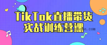 tiktok vps推荐4. TikTok VPS推荐的综合评价