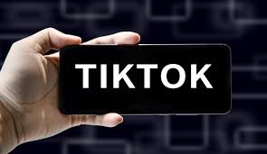 tiktok 半闭环TikTok半闭环模式对商家的影响