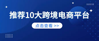 跨境电商平台流量排名其他具有领先地位的跨境电商平台