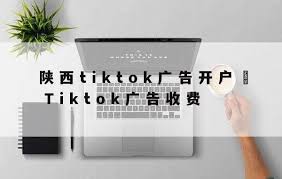 tiktok广告账户4. TikTok广告账户开户流程