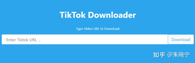 tiktok app download and install如何解决TikTok应用程序下载和安装的常见问题