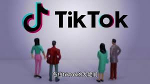 tiktok你的网络不稳定 请点击重试问题诊断