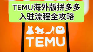 特木拼多多跨境平台拼多多TEMU平台介绍