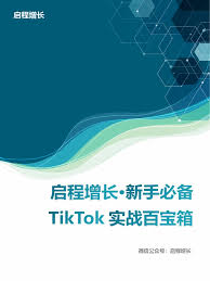 tiktok developer documentation三、TikTok开发者文档教程