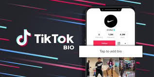 tiktok bio ideas aesthetic如何创作独特的TikTok个人简介