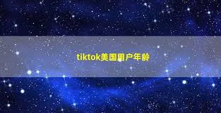 tiktok global usersTikTok用户年龄分布