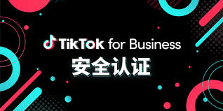 tiktok businessIV. TikTok for Business广告竞价策略的案例分析