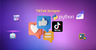 tiktok api python1. TikTok API介绍