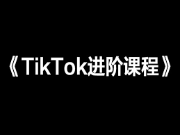 tik tok下载电脑版如何安装和运行TikTok电脑版