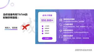 tiktok ads api四、TikTok广告API接口的商业价值