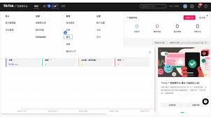 tiktok developer documentation一、TikTok开发者文档简介