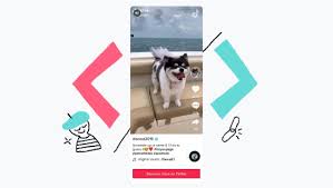 tiktok developer api一、了解TikTok开发者API