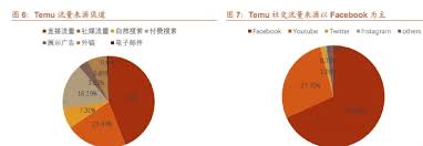 temu运营一、Temu运营模式介绍