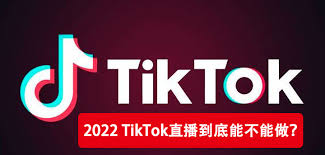 tiktok app download 2022TikTok应用程序下载的最佳选项