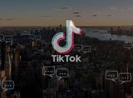 tiktok now.ggTikTok Now应用的使用体验