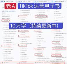 tiktok business account是什么三、TikTok企业号的申请方法