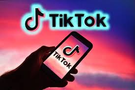 tiktok global users3. TikTok用户年龄分布分析