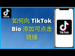 tiktok bio linkTikTok的主页链接的使用场景