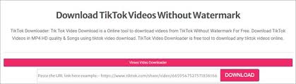 tik tok app download free如何下载TikTok安卓版？