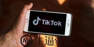 tiktok下载安卓TikTok国际版的热度和影响