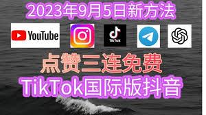 tiktok for windows 10 pc什么是TikTok国际版？