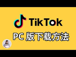 tiktok for windows desktop如何优化在Windows电脑上使用TikTok的体验