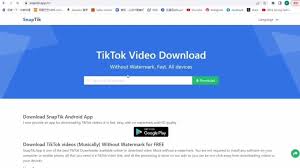 tiktok批量下载工具TikTok批量下载软件的优势和不足