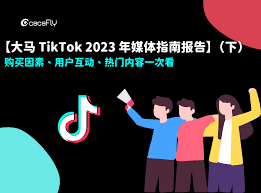 tiktok fyp time malaysia用户需求分析