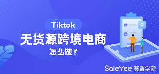 tiktok推流码获取工具获取tiktok直播流量