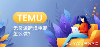 访问Temu官网