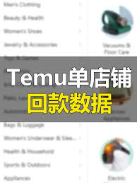 TEMU 结算页面