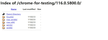 Chromedriver下载页面