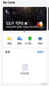 VPN 使用示例