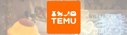 TEMU卖家中心注册页面