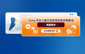 Temu登录界面示例