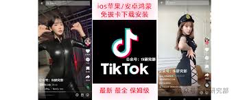 TikTok下载及安装步骤