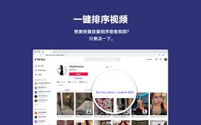 TikTok Analytics界面截图