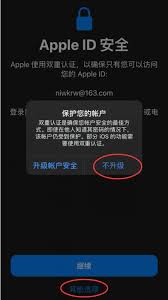 购买非大陆区Apple ID示意