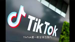 抖音与TikTok的应用图标