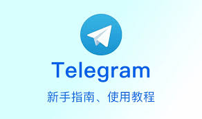 Telegram应用设置界面