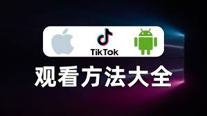 TikTok无法登入