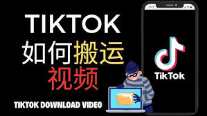 TikTok无水印视频下载示例