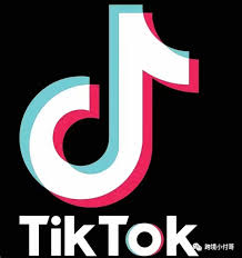 TikTok网页版注册界面