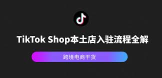 TikTok下载页面截图