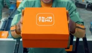 Temu logo