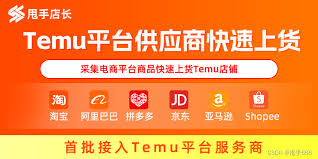 Temu平台界面示例