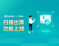 Temu平台特点示意