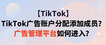 TikTok广告管理后台示意图