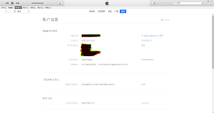 Apple ID注册页面示例