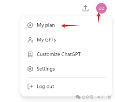 ChatGPT Plus 常见问题